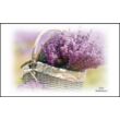 Lavender Trio matrac 160x200